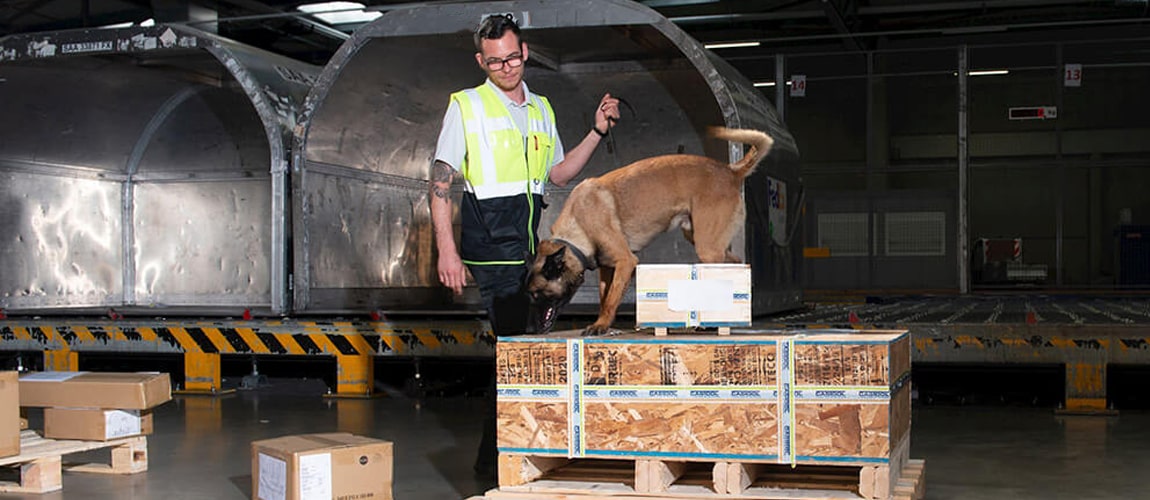 Navigating Air Cargo Rules A Crucial Aspect for Manufacturing